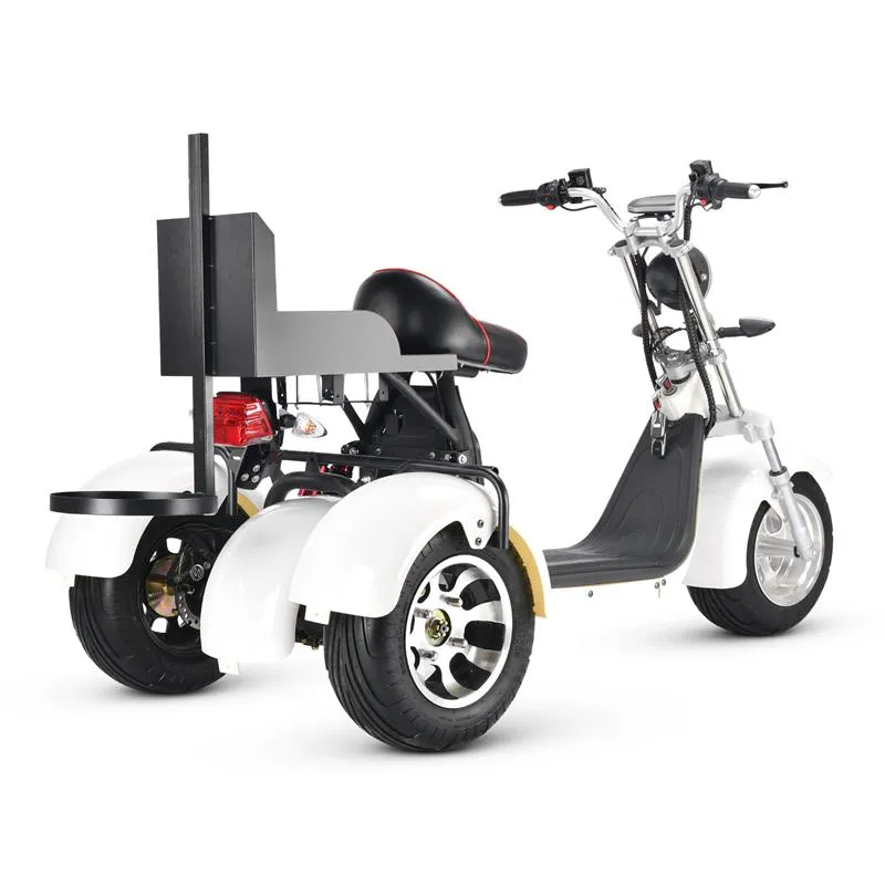 2000W 20Ah Citycoco Electric Fat Tire Golf Trike Cart