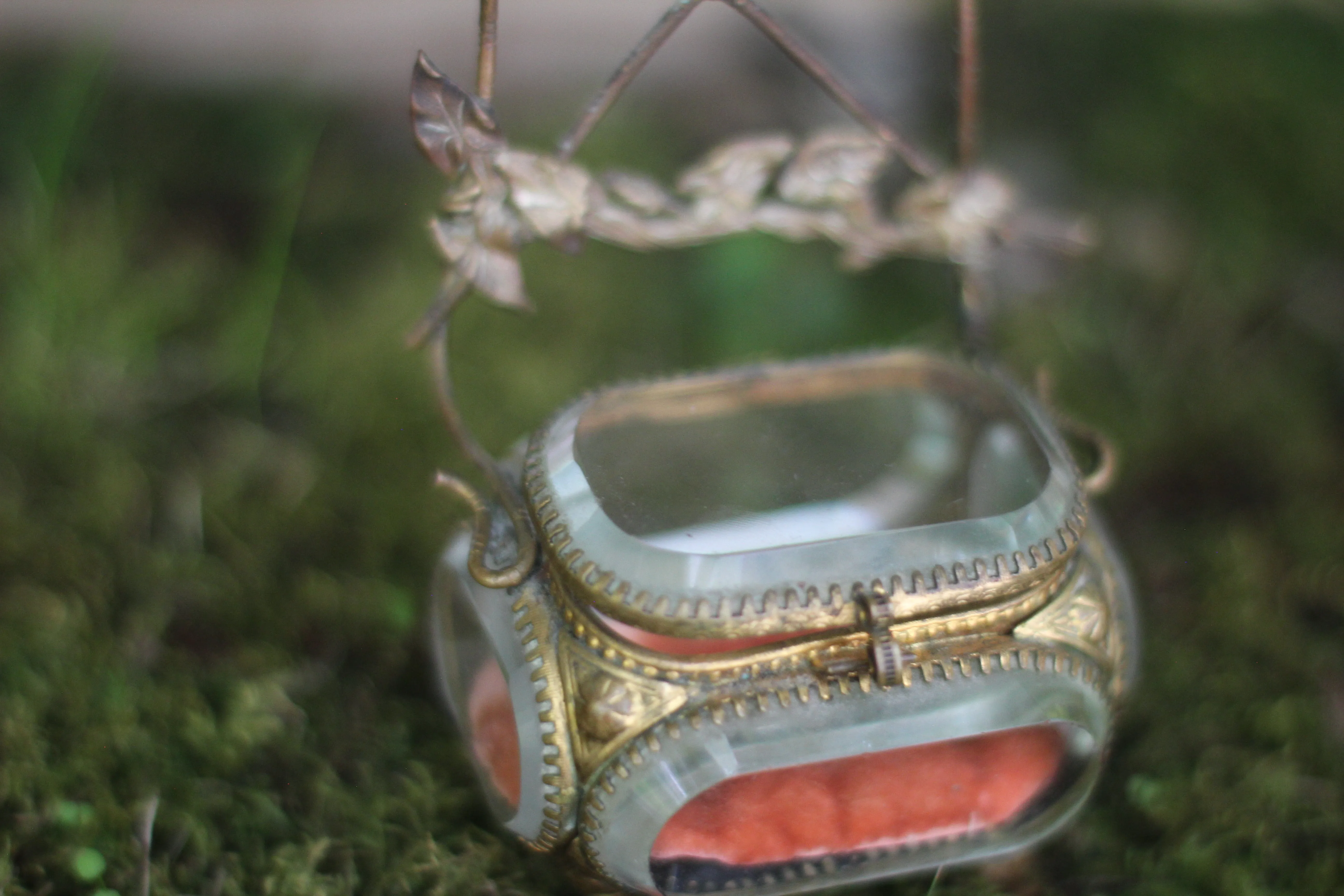 Antique Rare French Morning glory Jewelry Box