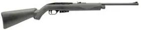 Crosman .177 Semi-Automatic Air Rifle 1077