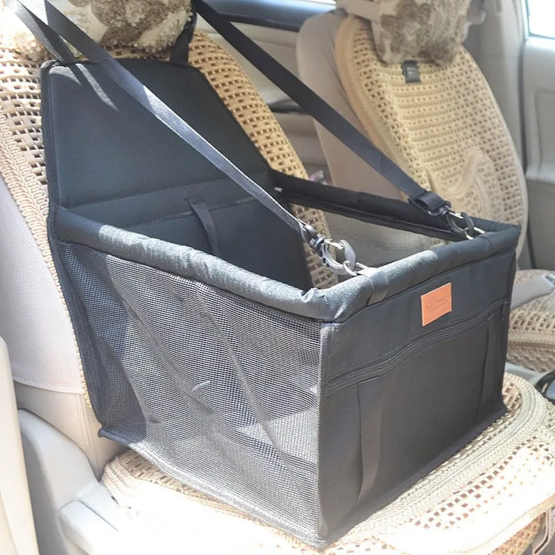 Dachshund Car Seat