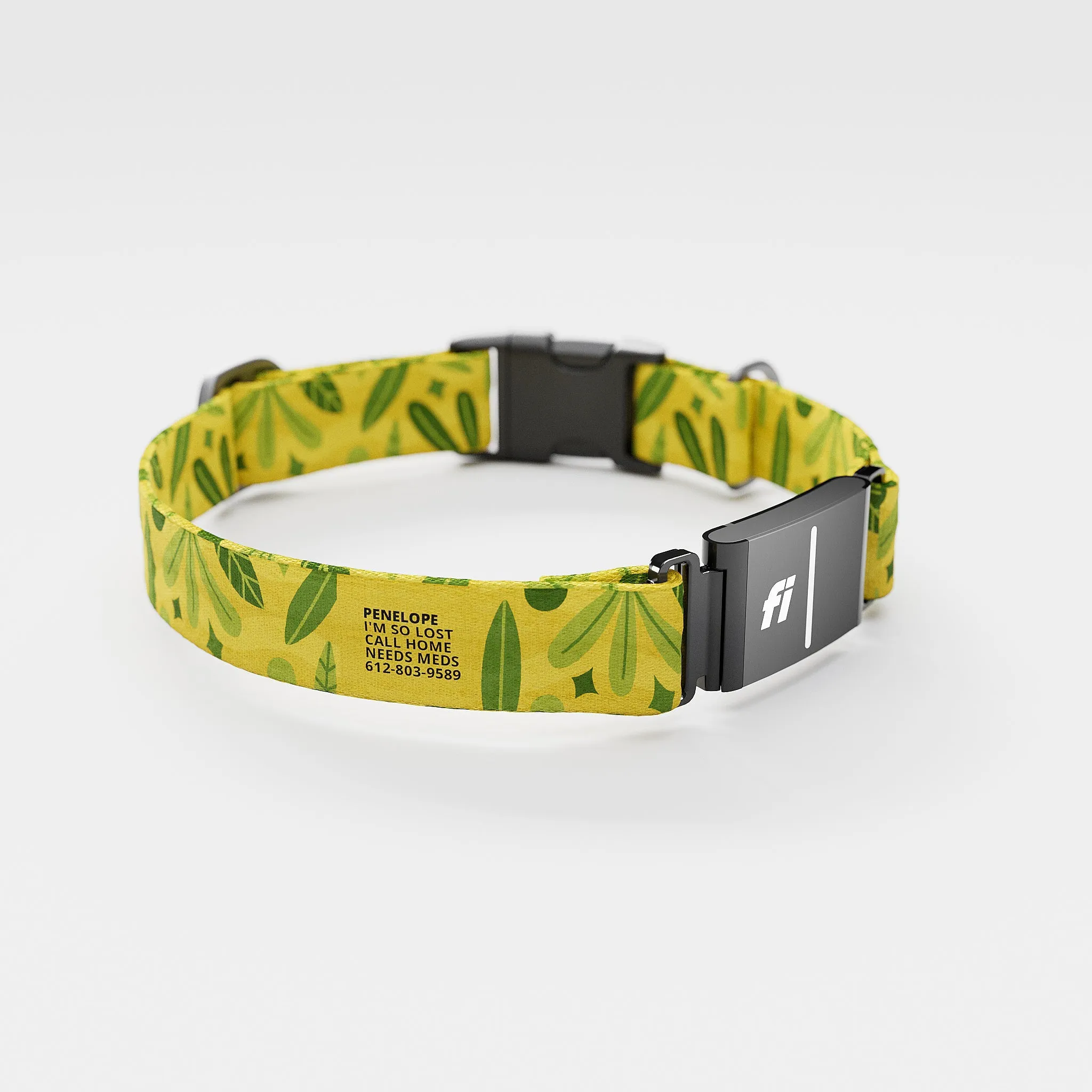 Fi GPS Included Leaves Summer Everyday Collar (6 month subscription)