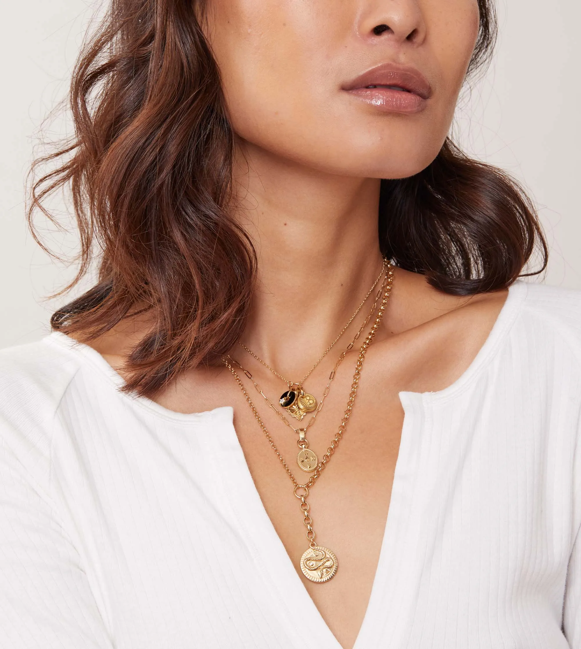 Internal Compass : Super Fine Clip Slide Crest Necklace