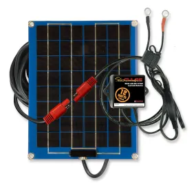 SolarPulse Solar Battery Charger & Maintainer - 12-Watt | 735X468